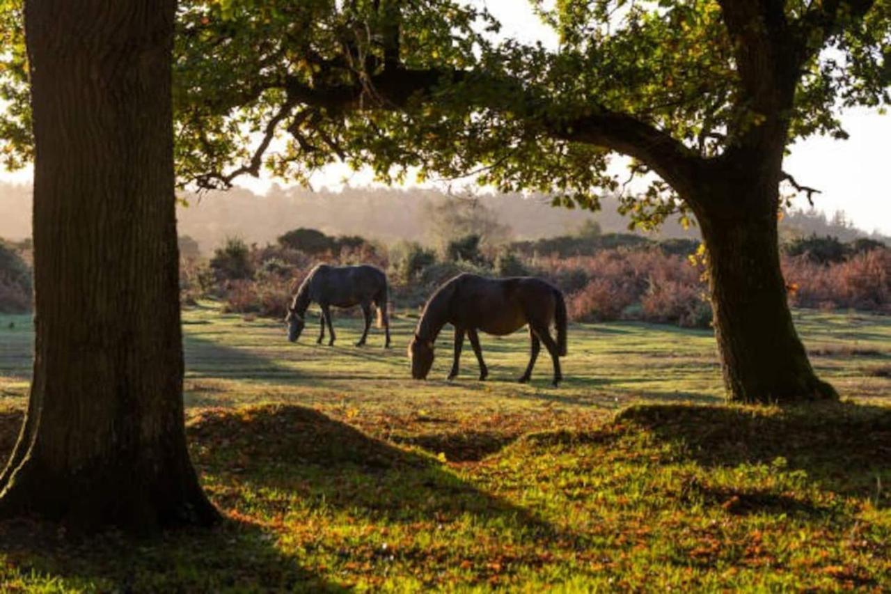 לימינגטון New Forest Retreat Shorefield Country Park מראה חיצוני תמונה